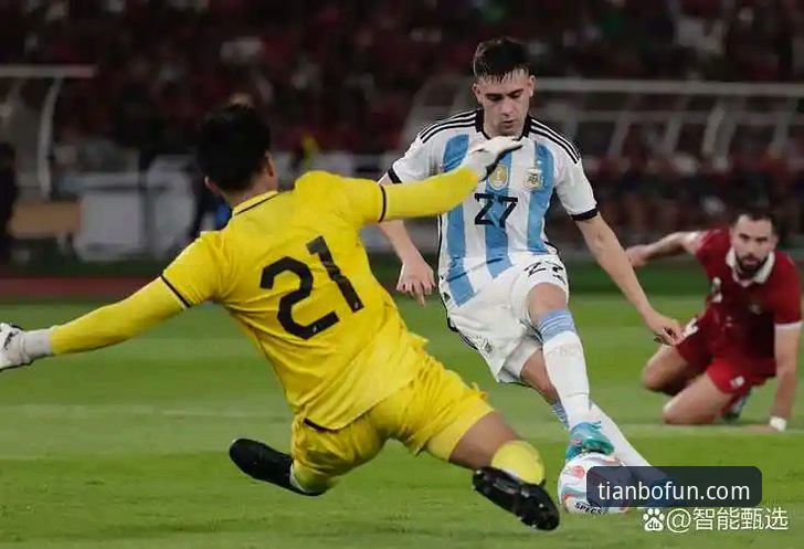 阿根廷锋线新星重伤无缘世界杯最新动态，天博体育平台深度解析战术影响